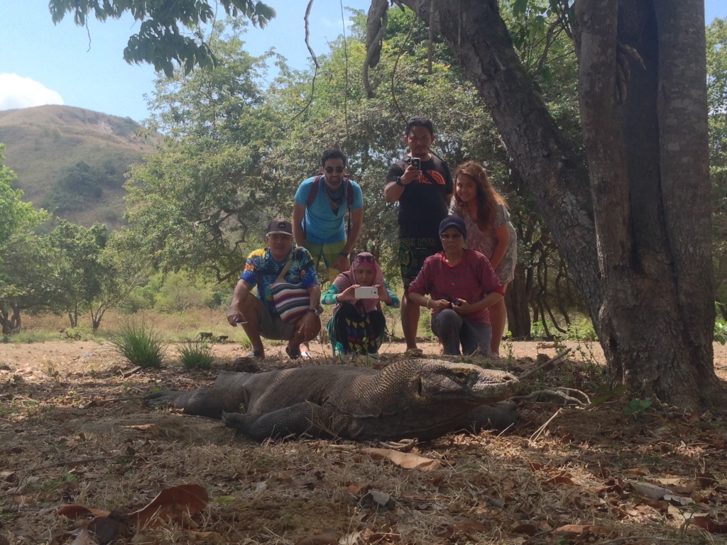 Visit komodo island and meet the dragon himself 