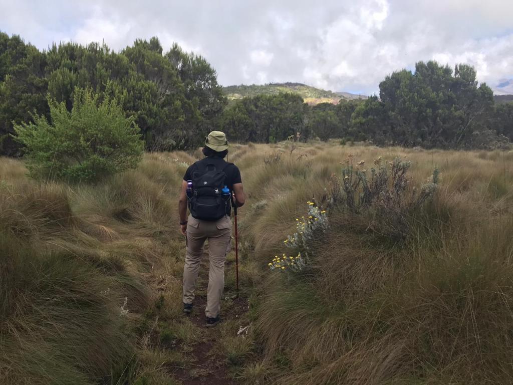 Crossing the bushland of Mount Kilimanjaro