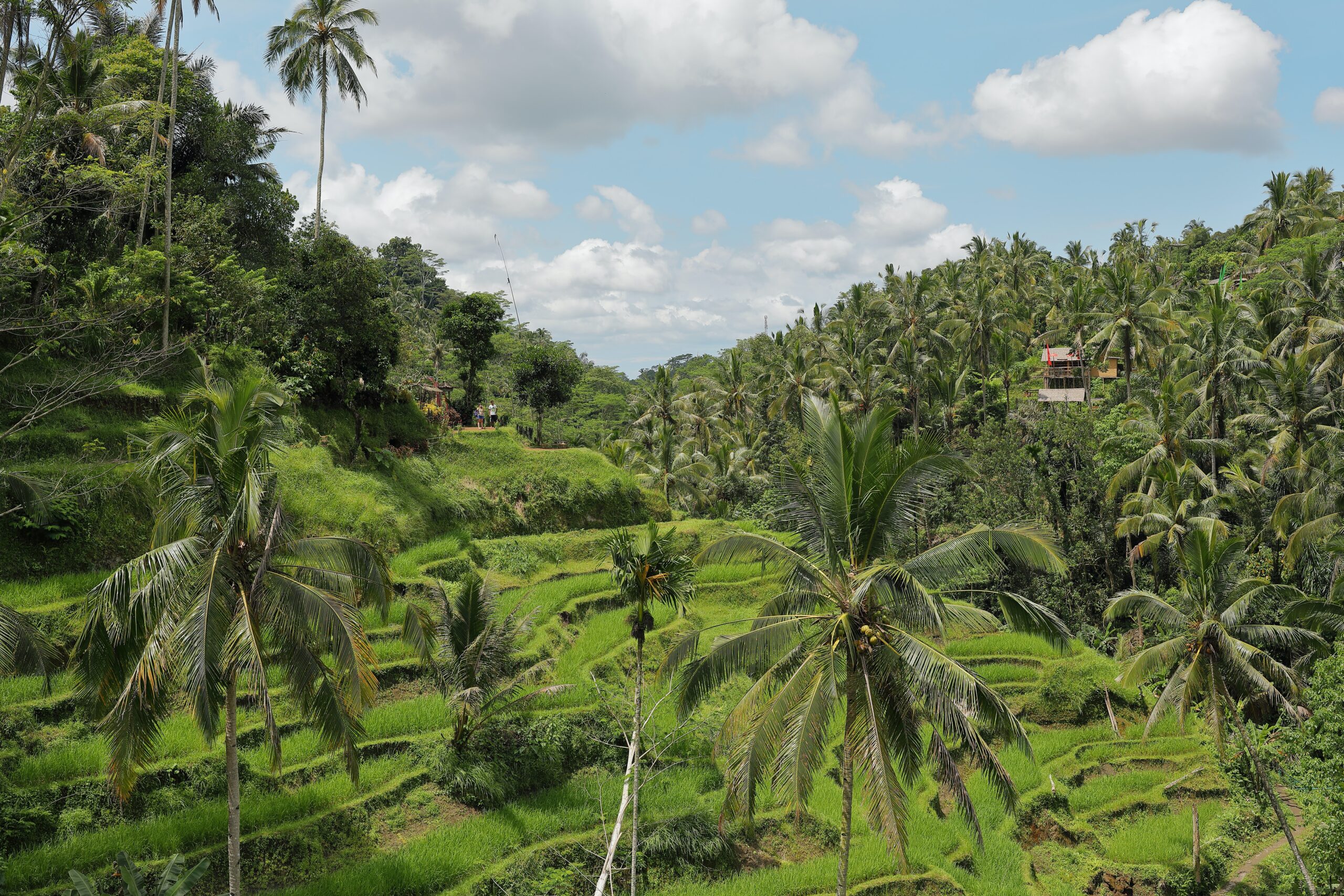 travel bali on a budget 