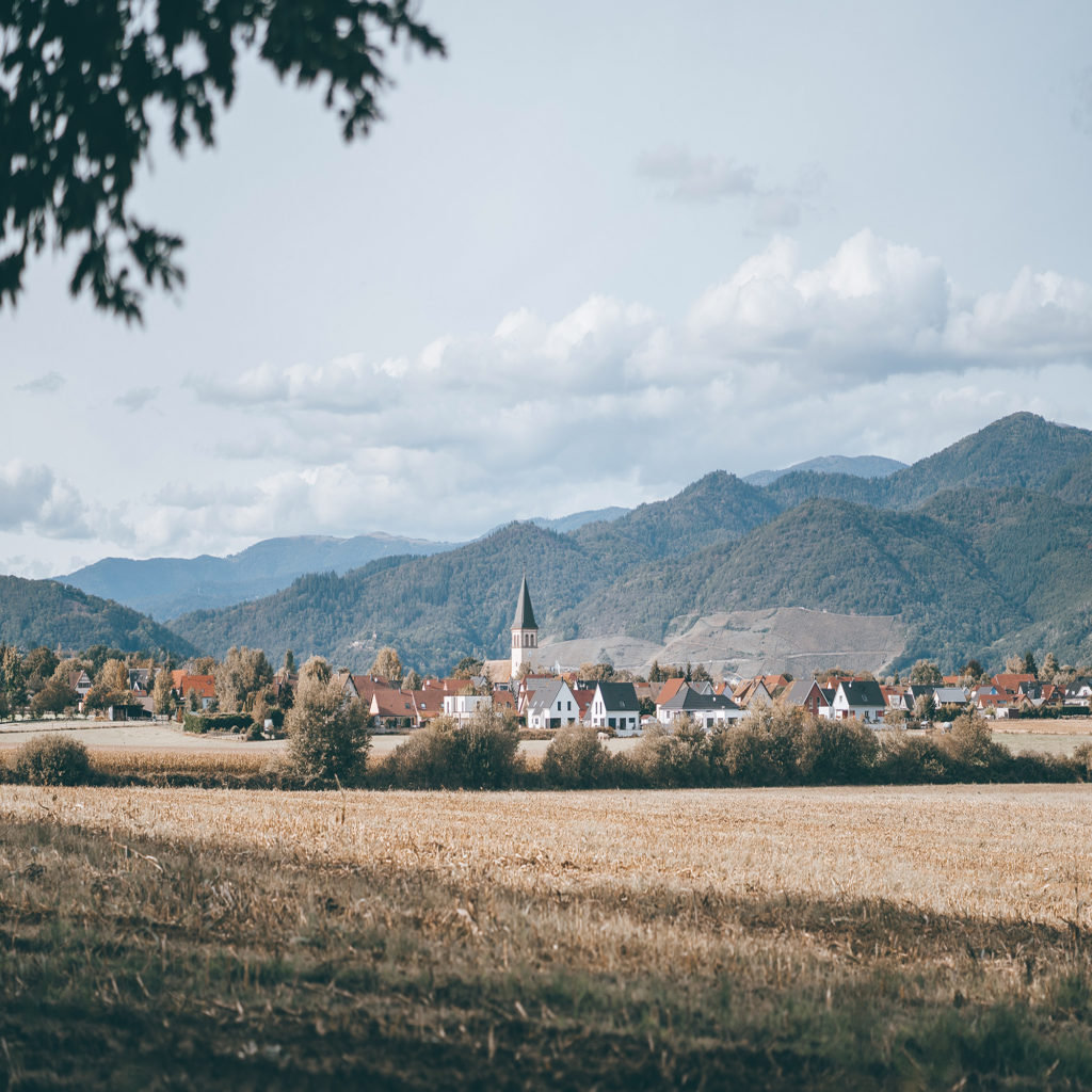 7 best things to do in Alsace France