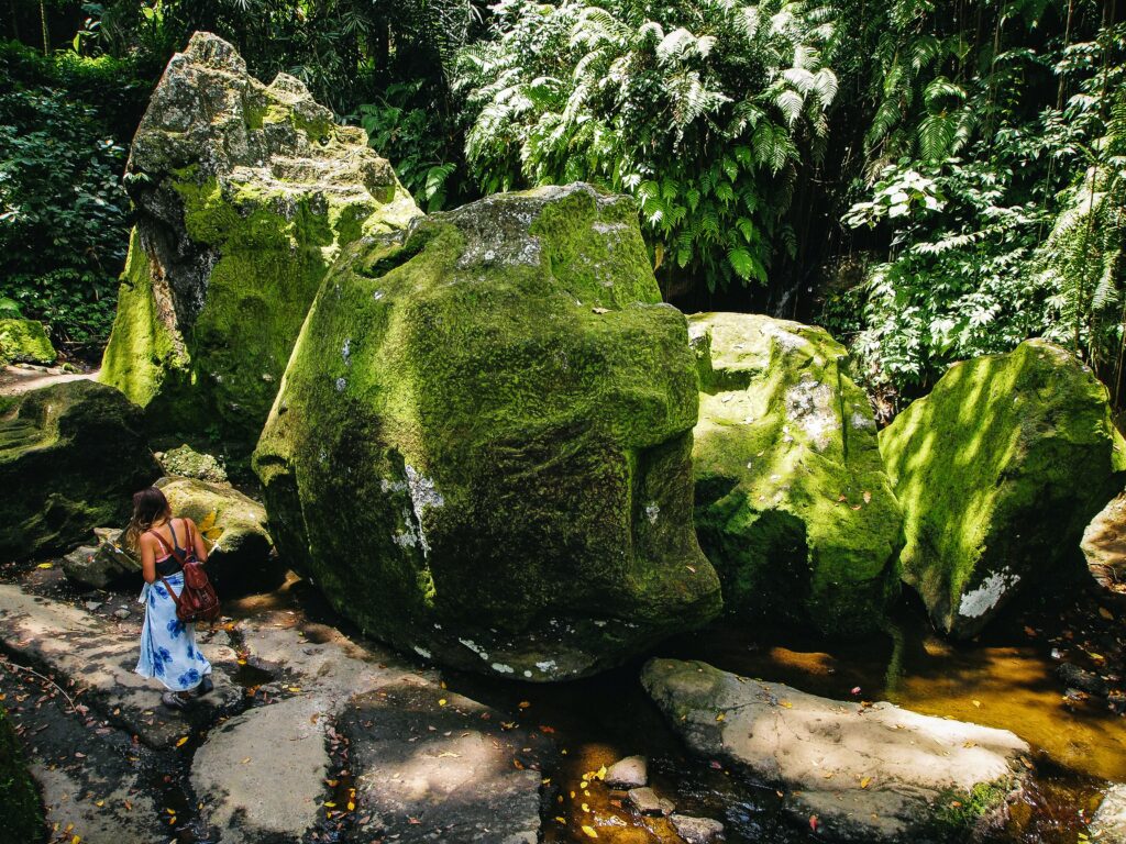 Goa Gajah bali