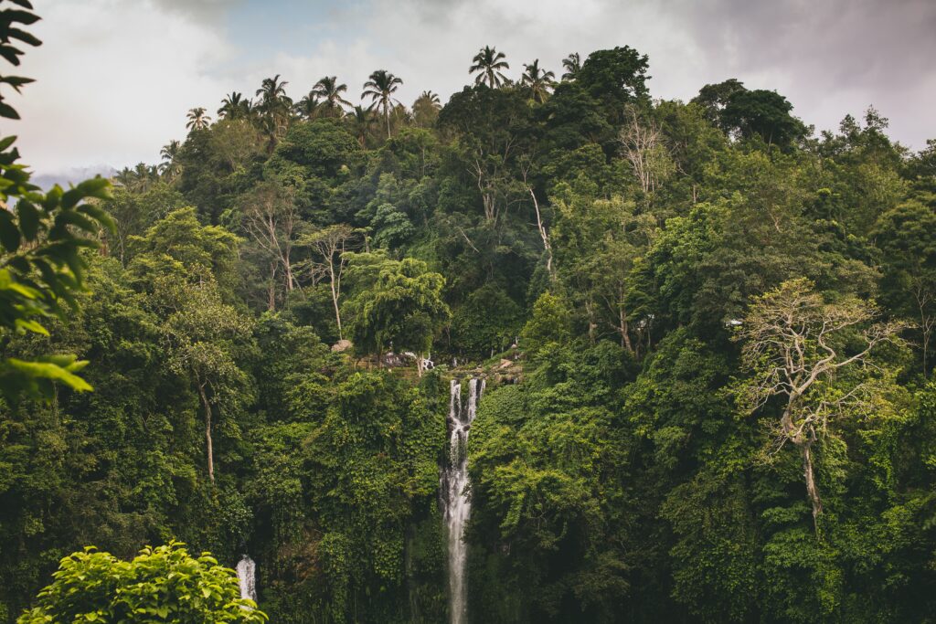 waterfalls nature in Indonesia
